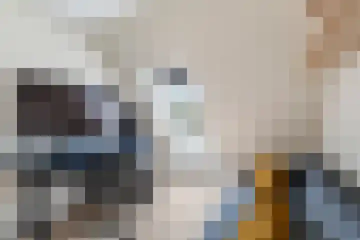 Rietveld-erf 19 Dordrecht thumbnail 46