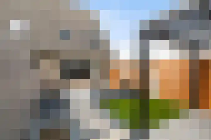 Rietveld-erf 19 Dordrecht thumbnail 5