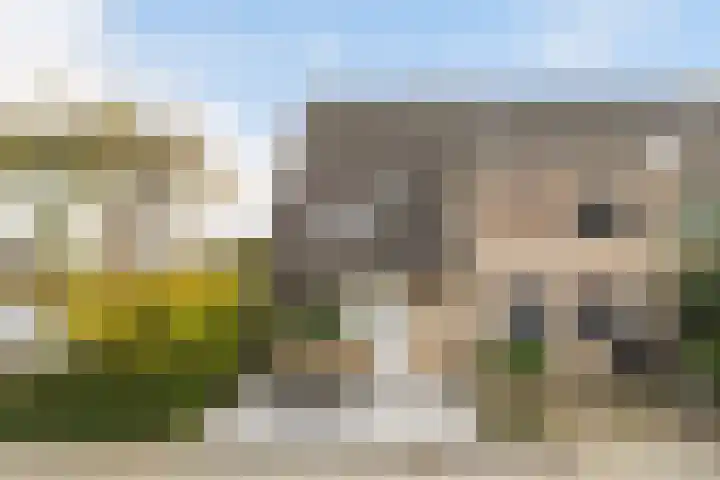 Rietveld-erf 19 Dordrecht thumbnail 6