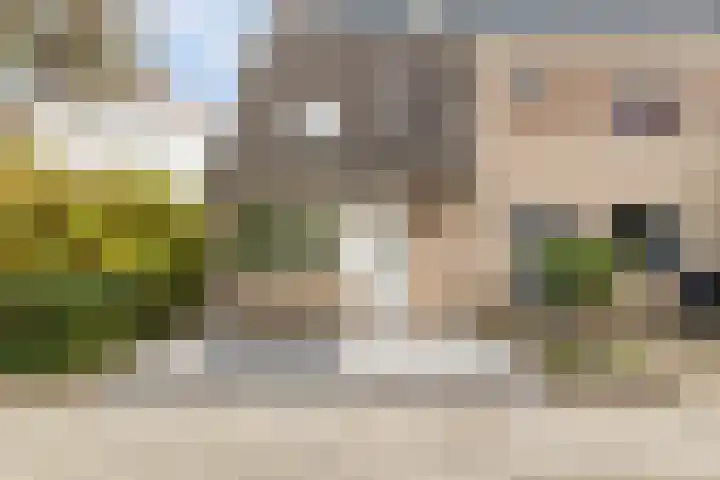 Rietveld-erf 19 Dordrecht thumbnail 7