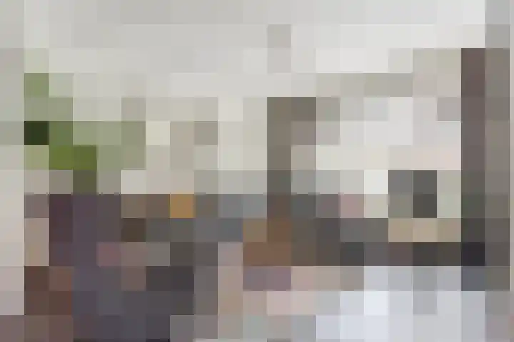 Rietveld-erf 21 Dordrecht thumbnail 14