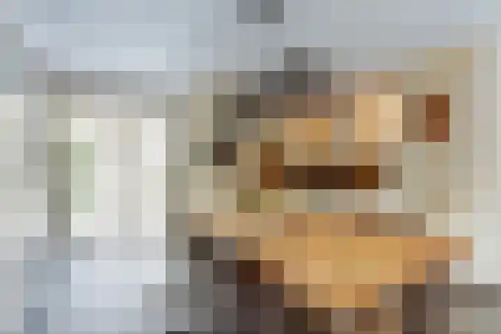 Rietveld-erf 21 Dordrecht thumbnail 17