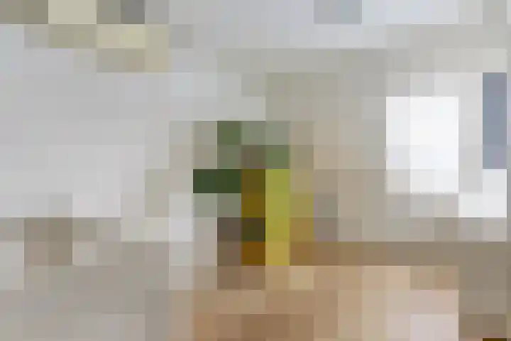 Rietveld-erf 21 Dordrecht thumbnail 30