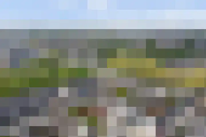 Rietveld-erf 21 Dordrecht thumbnail 37