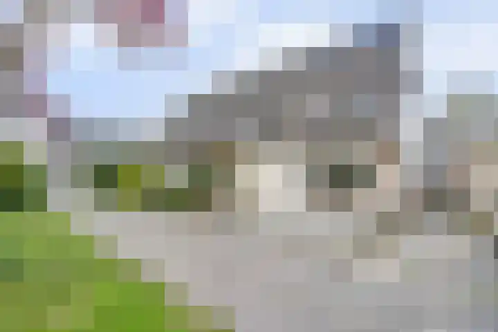 Rietveld-erf 21 Dordrecht thumbnail 6
