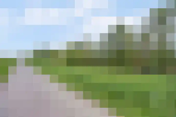 Rietveld-erf 21 Dordrecht thumbnail 8