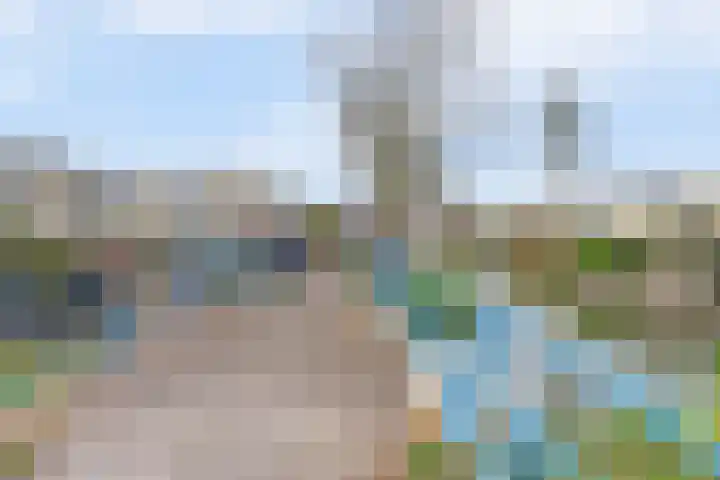 Rietveld-erf 21 Dordrecht thumbnail 9