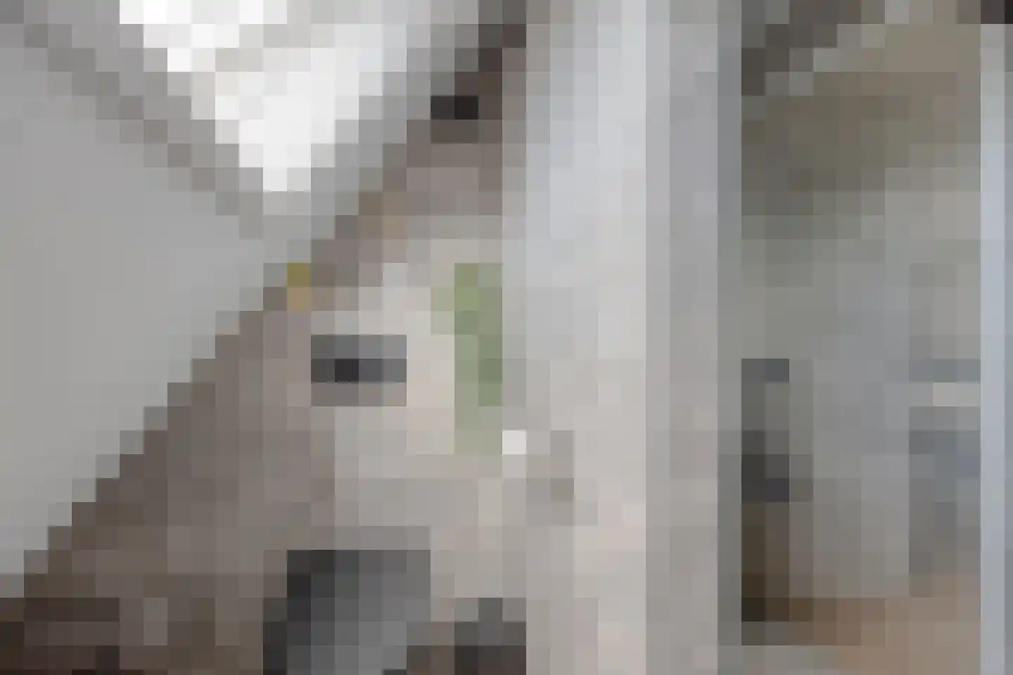 Rietveld-erf 28 Dordrecht thumbnail 20
