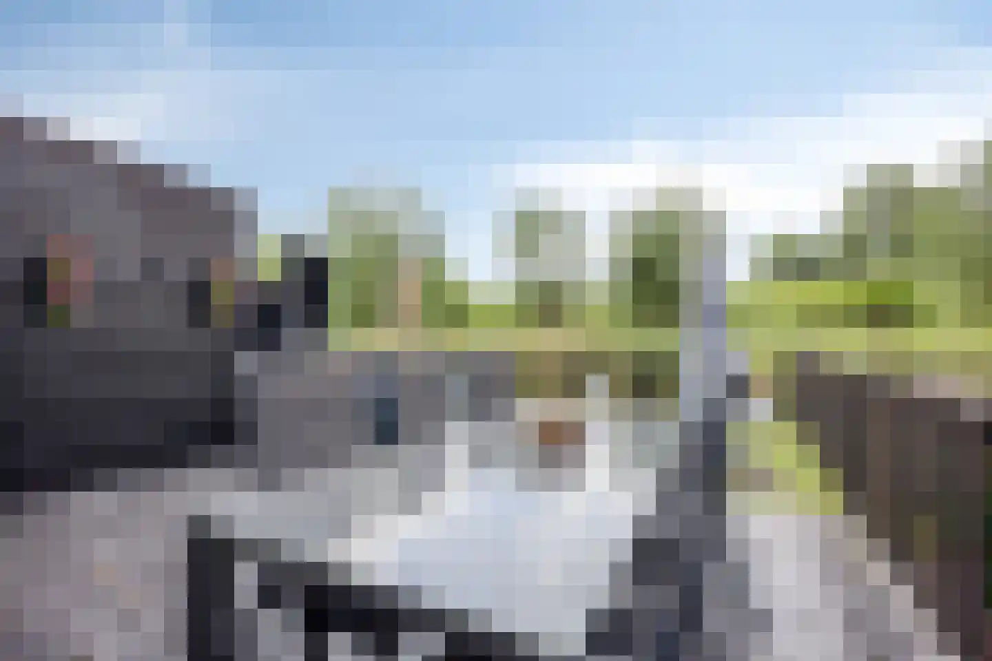 Rietveld-erf 28 Dordrecht thumbnail 27