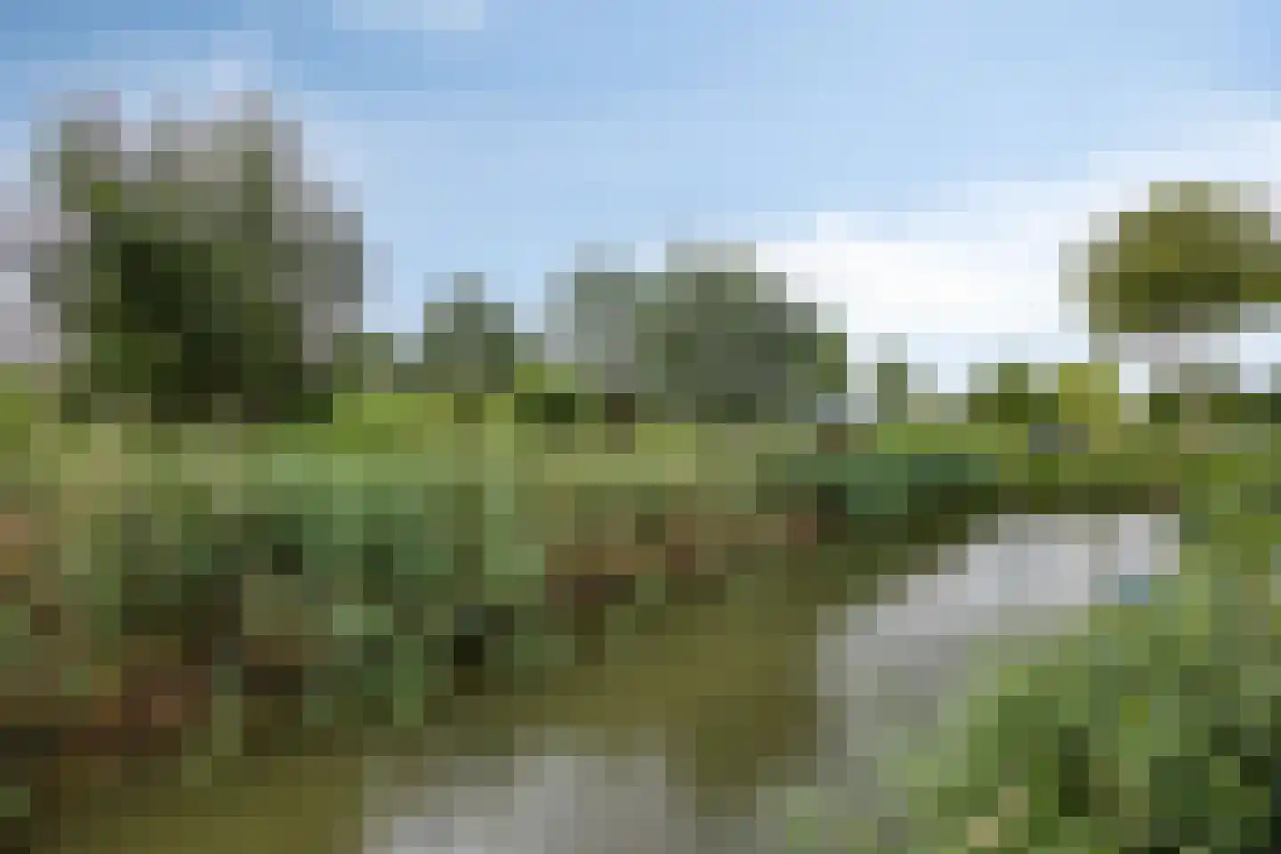 Rietveld-erf 28 Dordrecht thumbnail 31