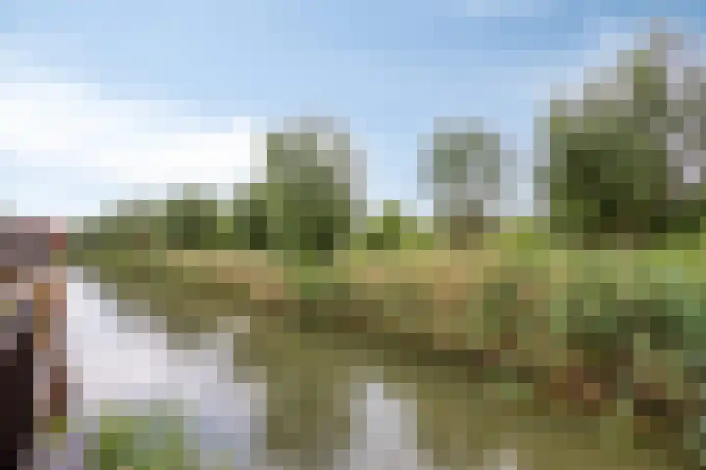 Rietveld-erf 28 Dordrecht thumbnail 32