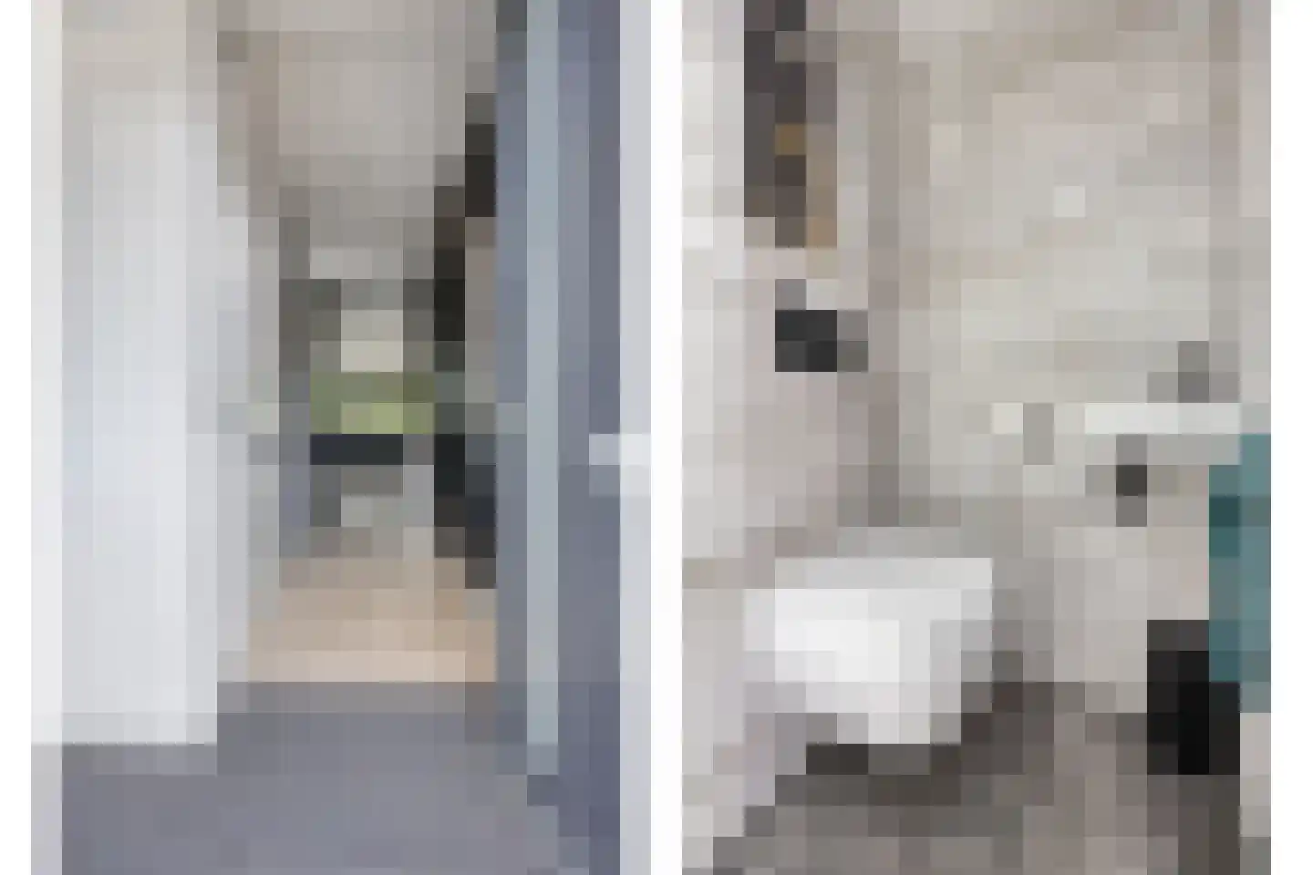 Rietveld-erf 28 Dordrecht thumbnail 6