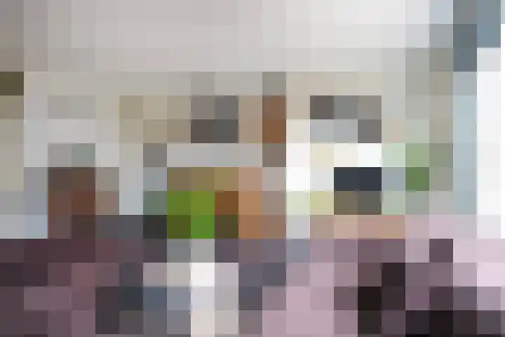 Rietveld-erf 80 Dordrecht thumbnail 10