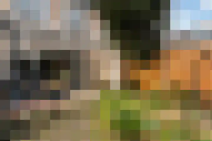 Rietveld-erf 80 Dordrecht thumbnail 20
