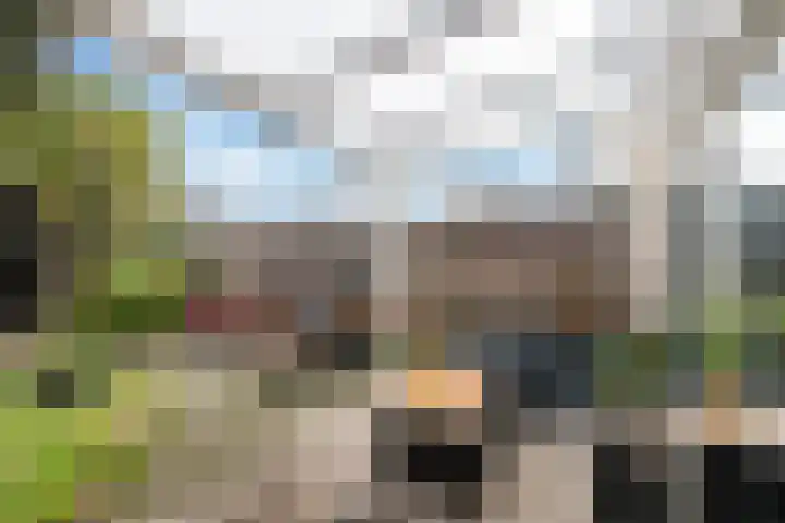 Rietveld-erf 80 Dordrecht thumbnail 21