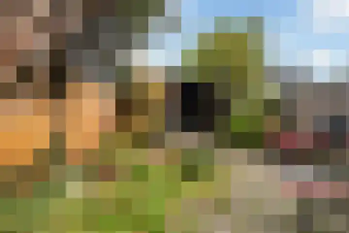 Rietveld-erf 80 Dordrecht thumbnail 22