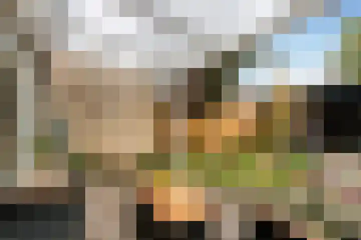 Rietveld-erf 80 Dordrecht thumbnail 23