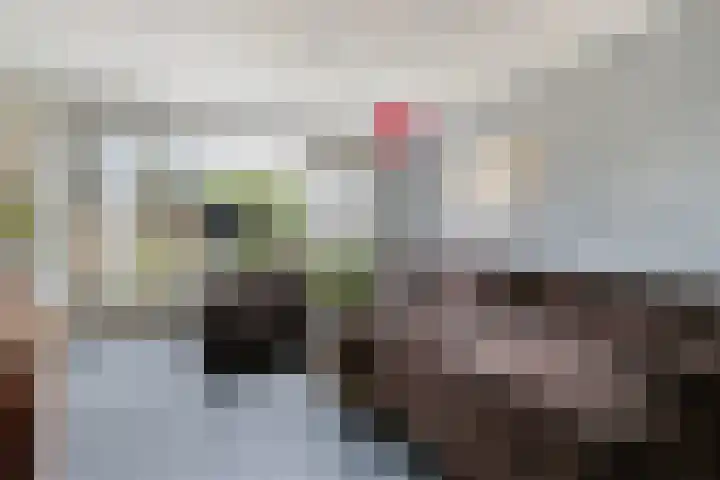 Rietveld-erf 80 Dordrecht thumbnail 7
