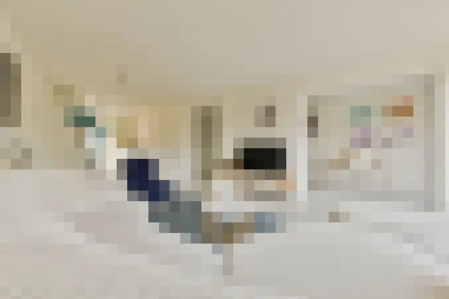Rietveld Schröderpad 15 Amsterdam thumbnail 12