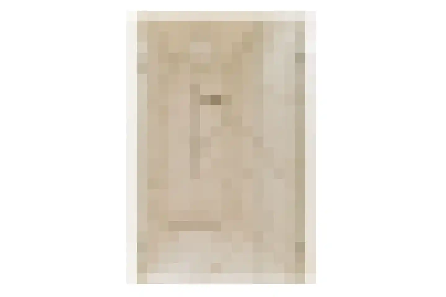 Rietveld Schröderpad 15 Amsterdam thumbnail 18