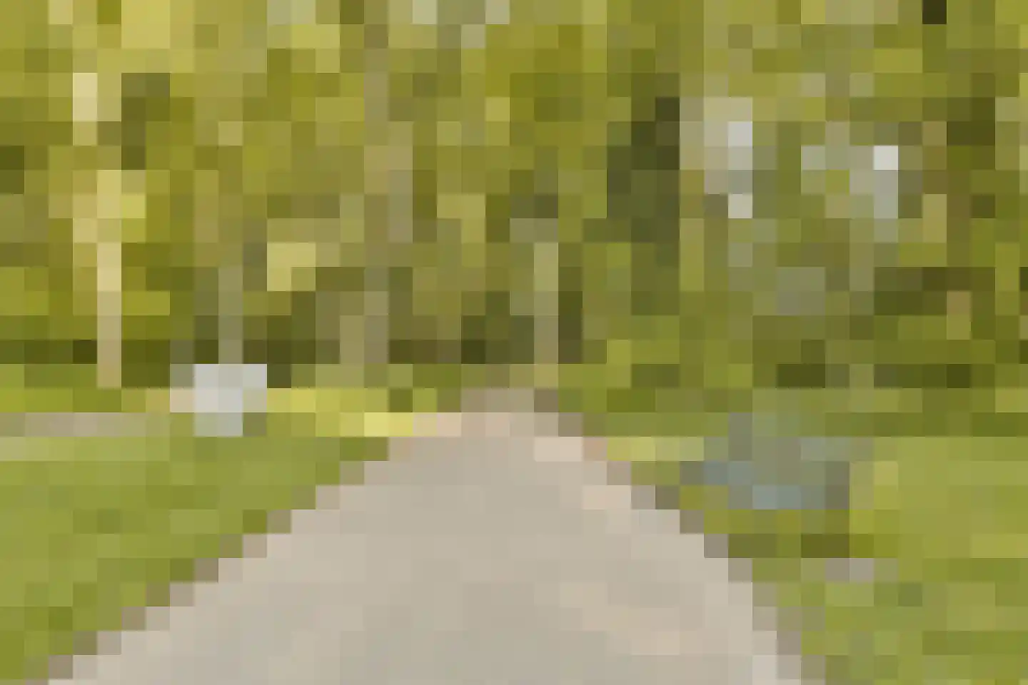 Rietveld Schröderpad 15 Amsterdam thumbnail 22