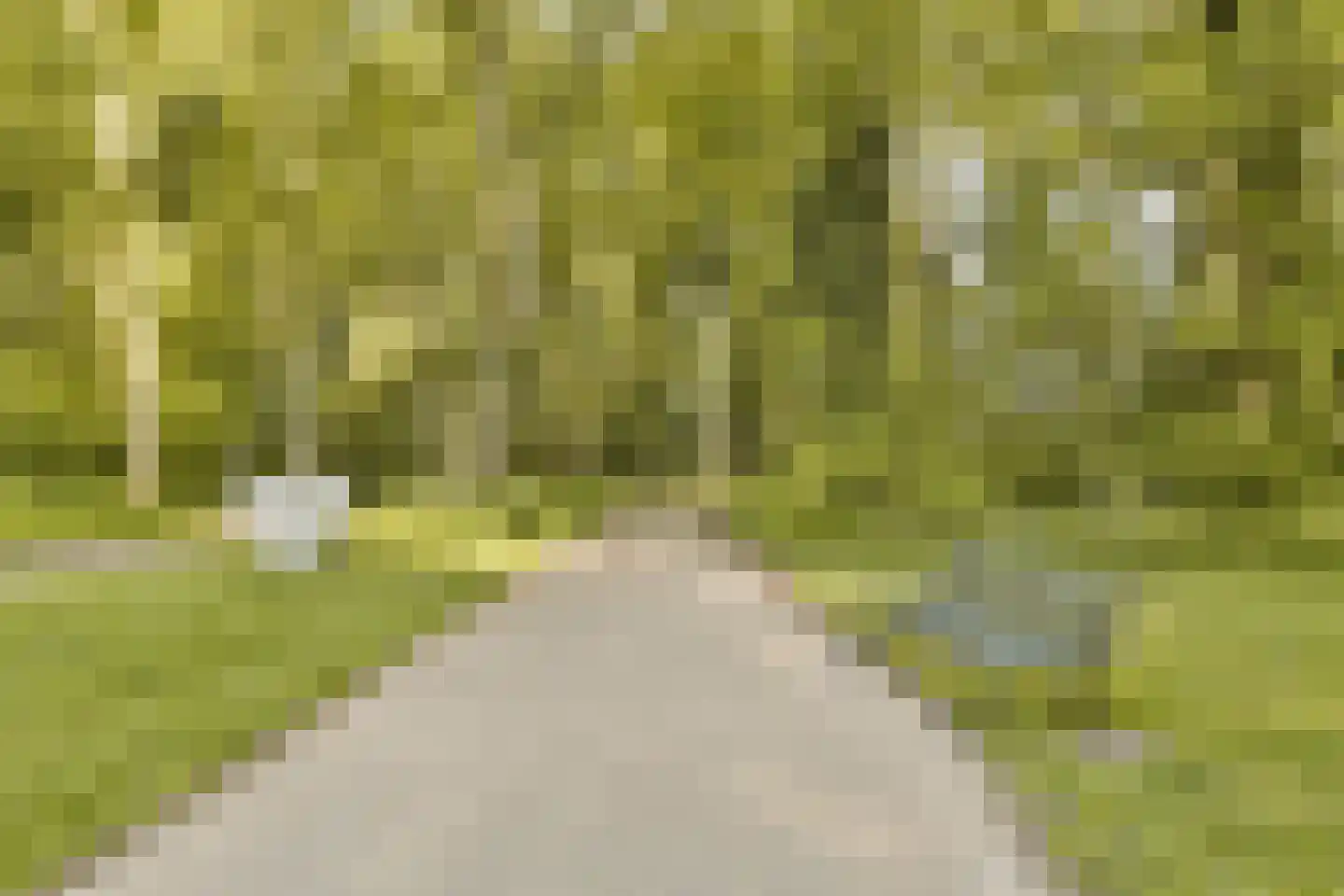 Rietveld Schröderpad 15 Amsterdam thumbnail 22