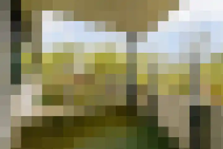 Rietveld Schröderpad 21 Amsterdam thumbnail 13