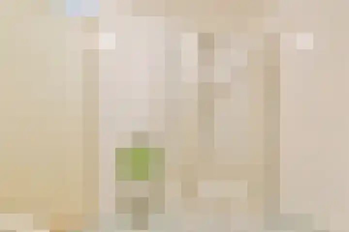 Rietveld Schröderpad 21 Amsterdam thumbnail 19
