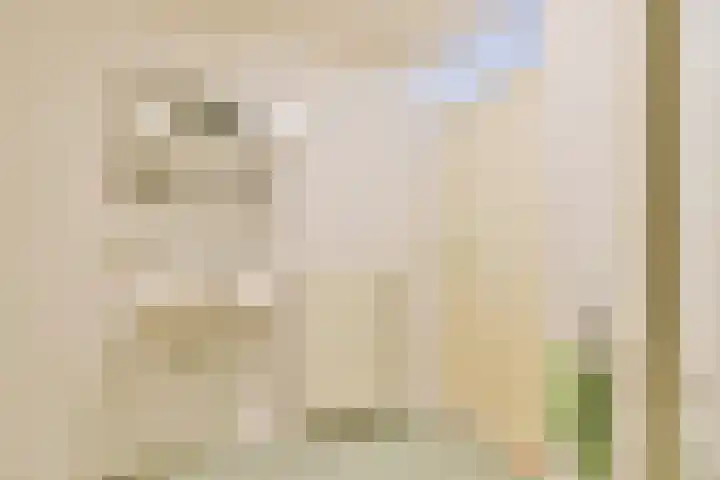 Rietveld Schröderpad 21 Amsterdam thumbnail 20