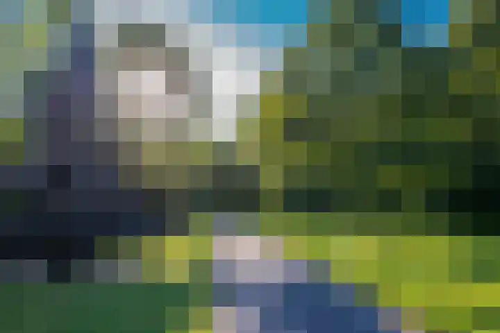 Rietveld Schröderpad 21 Amsterdam thumbnail 25