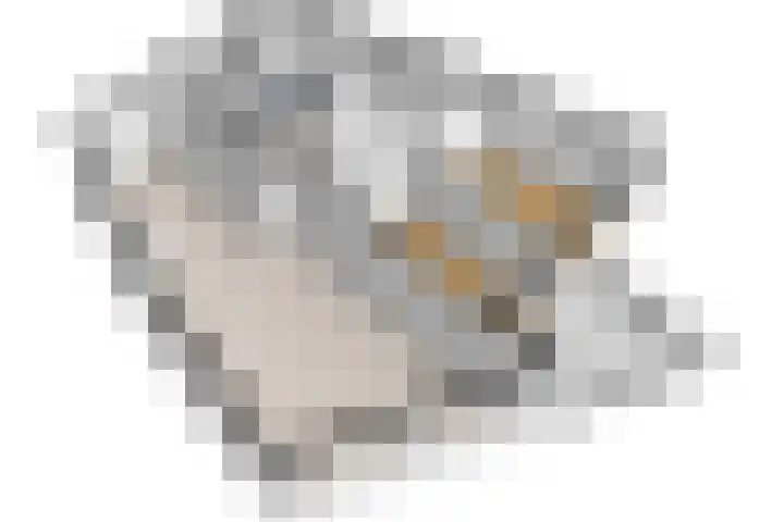 Rietveld Schröderpad 21 Amsterdam thumbnail 30