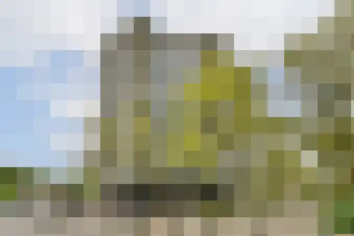Rietveld Schröderpad 21 Amsterdam thumbnail 34