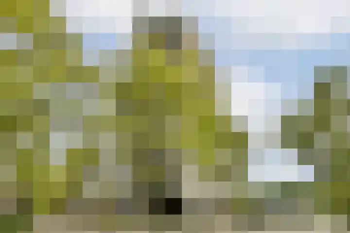 Rietveld Schröderpad 21 Amsterdam thumbnail 5