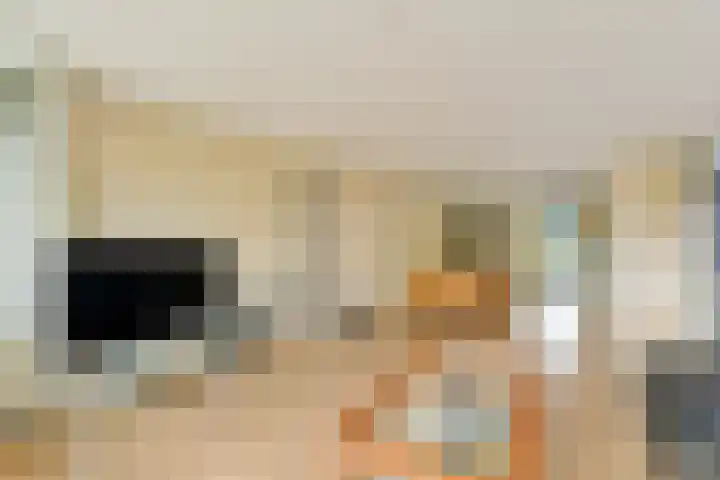 Rietveld Schröderpad 21 Amsterdam thumbnail 7