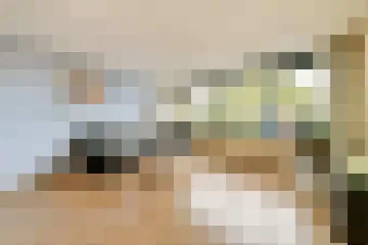 Rietveld Schröderpad 21 Amsterdam thumbnail 8