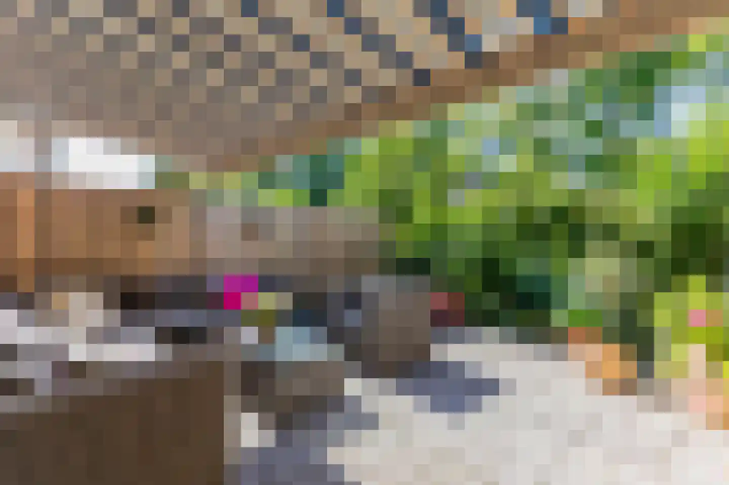 Rietvelddreef 24 Barendrecht thumbnail 4