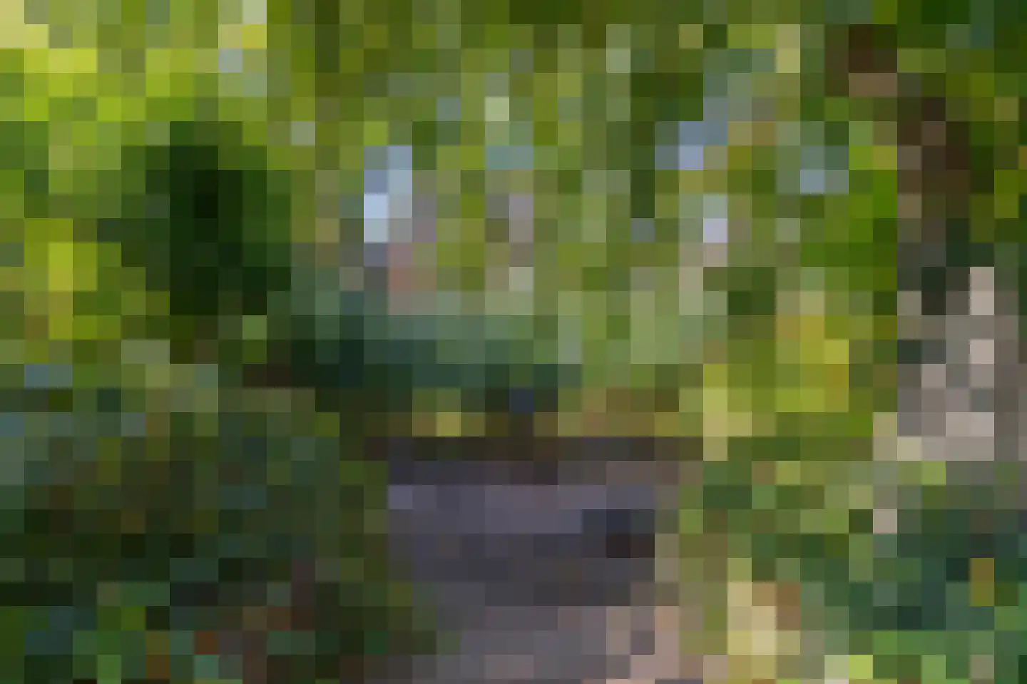 Rietvelddreef 24 Barendrecht thumbnail 58
