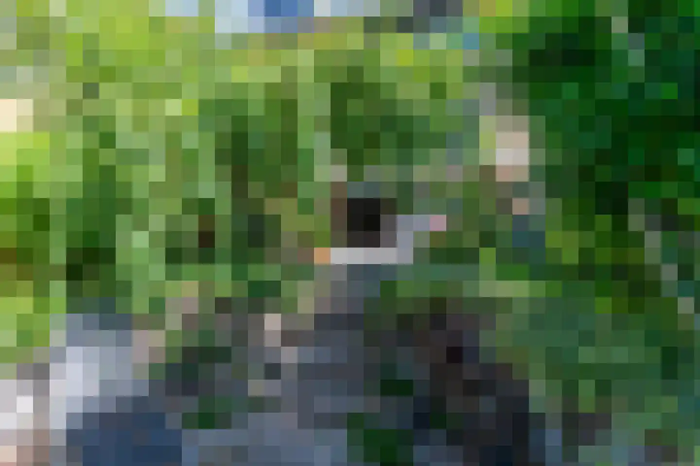 Rietvelddreef 24 Barendrecht thumbnail 61