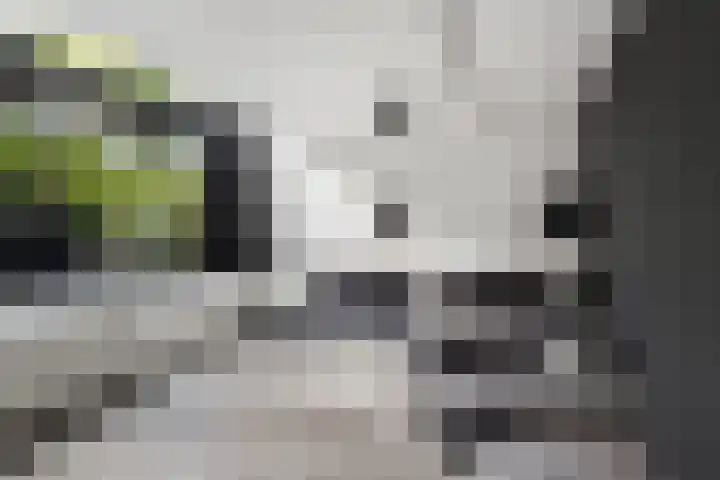 Rietvelddreef 40 Barendrecht thumbnail 14