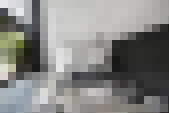 Rietvelddreef 40 Barendrecht thumbnail 16