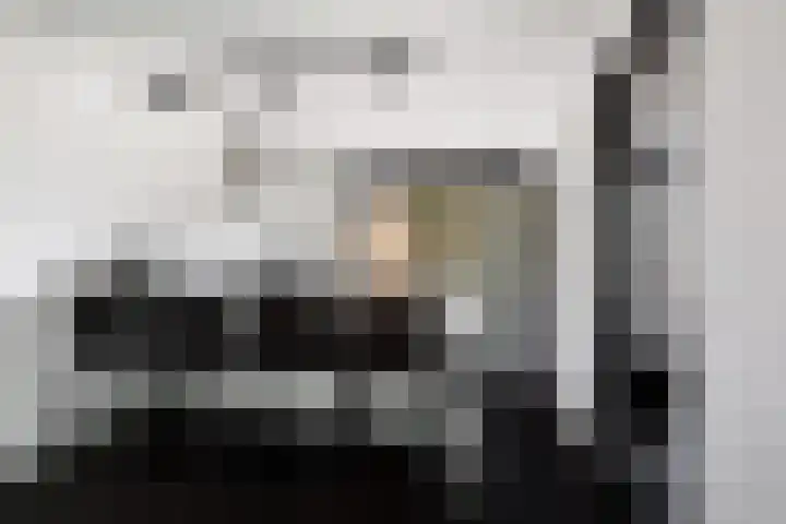 Rietvelddreef 40 Barendrecht thumbnail 21