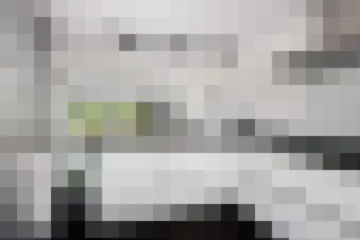 Rietvelddreef 40 Barendrecht thumbnail 24