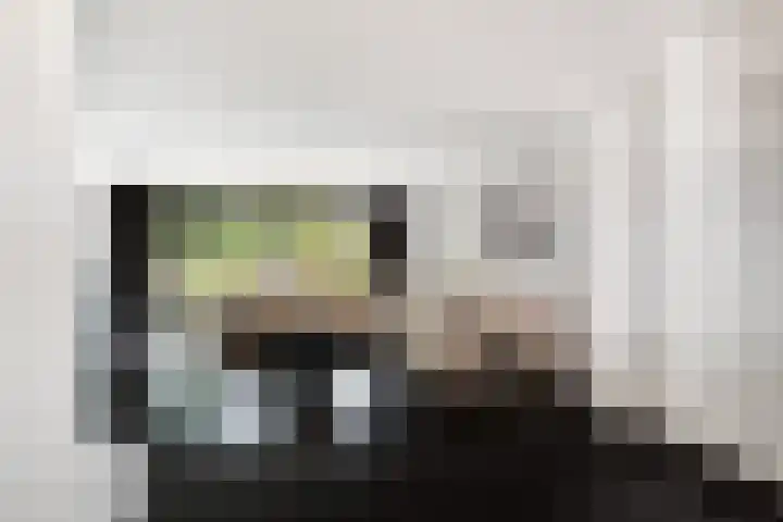 Rietvelddreef 40 Barendrecht thumbnail 26