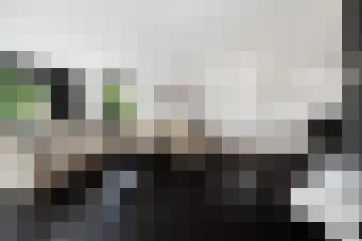 Rietvelddreef 40 Barendrecht thumbnail 28