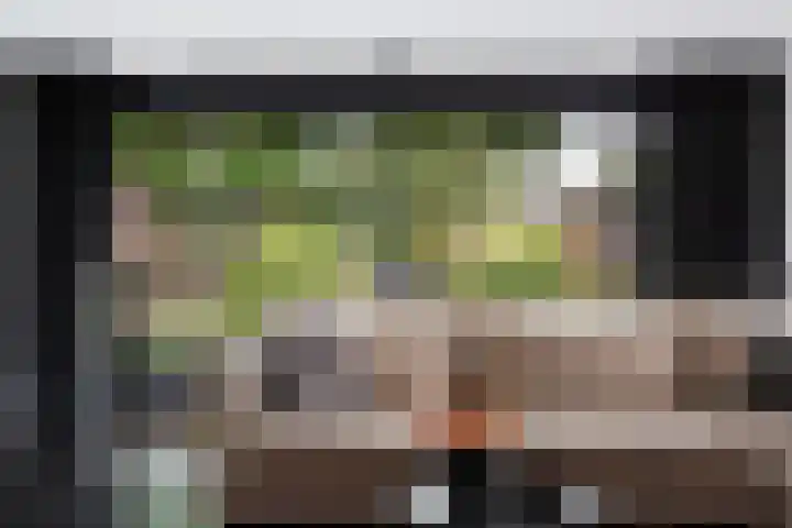 Rietvelddreef 40 Barendrecht thumbnail 30