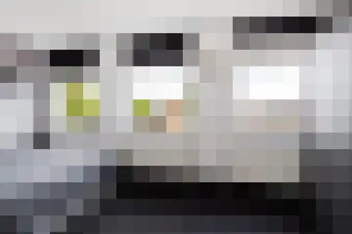 Rietvelddreef 40 Barendrecht thumbnail 32