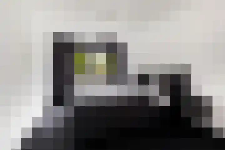 Rietvelddreef 40 Barendrecht thumbnail 37