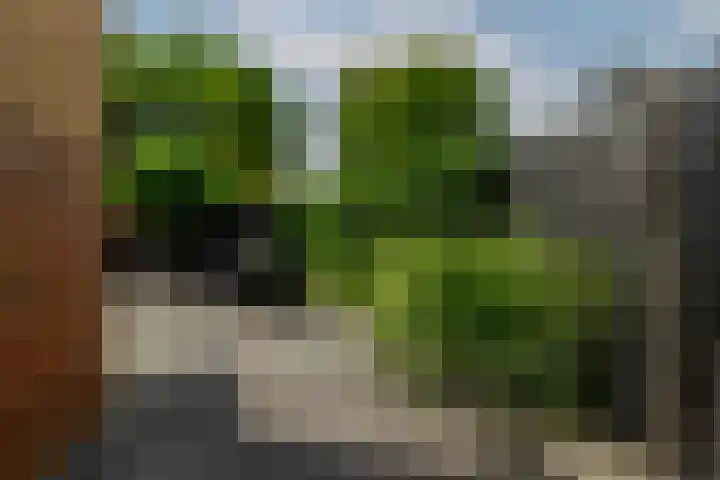 Rietvelddreef 40 Barendrecht thumbnail 49