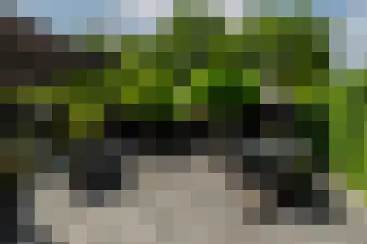 Rietvelddreef 40 Barendrecht thumbnail 52