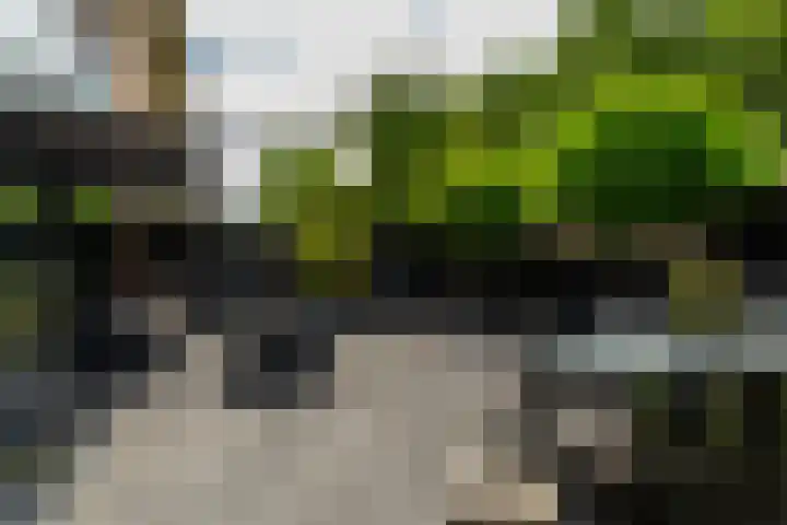Rietvelddreef 40 Barendrecht thumbnail 53